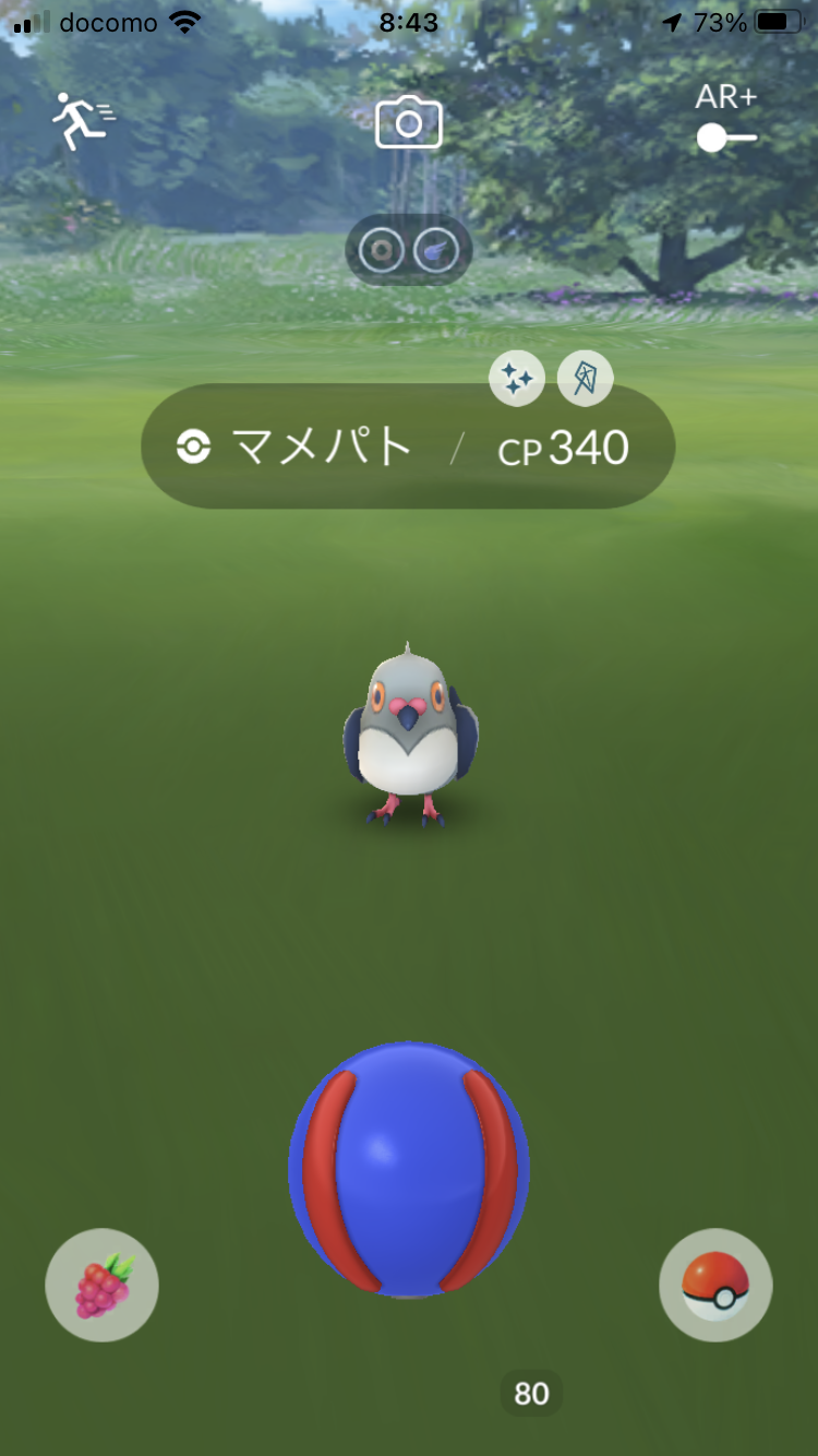 ポケモンgoの話 一昨日の色違い やえの日記 仕事と子育てと時々病気 楽天ブログ