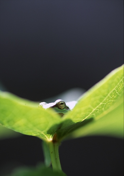 2.名称未設定 17A.jpg