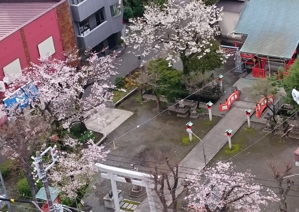 天神社2(1).JPG