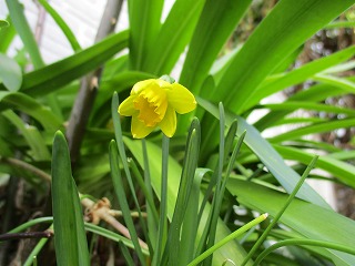 IMG_9244ss.jpg
