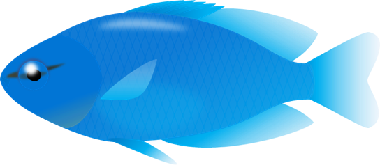 海水魚 Digiusagiのブログ 楽天ブログ