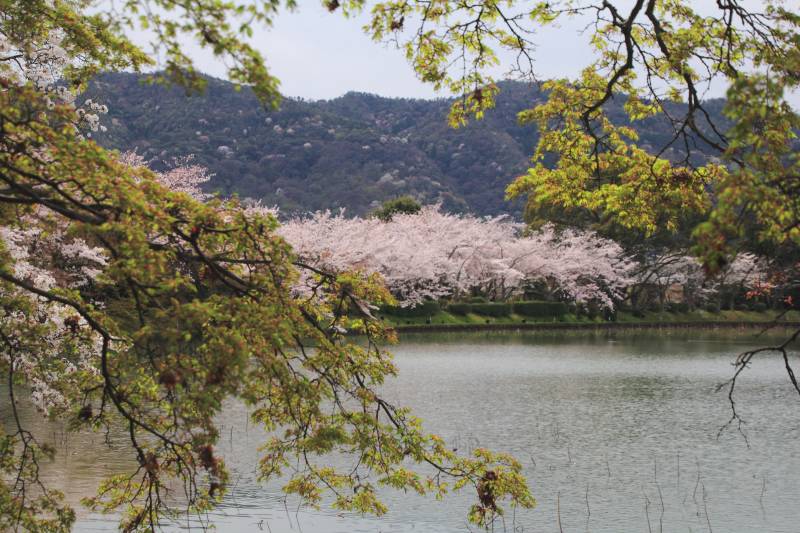 大沢池_001.jpg