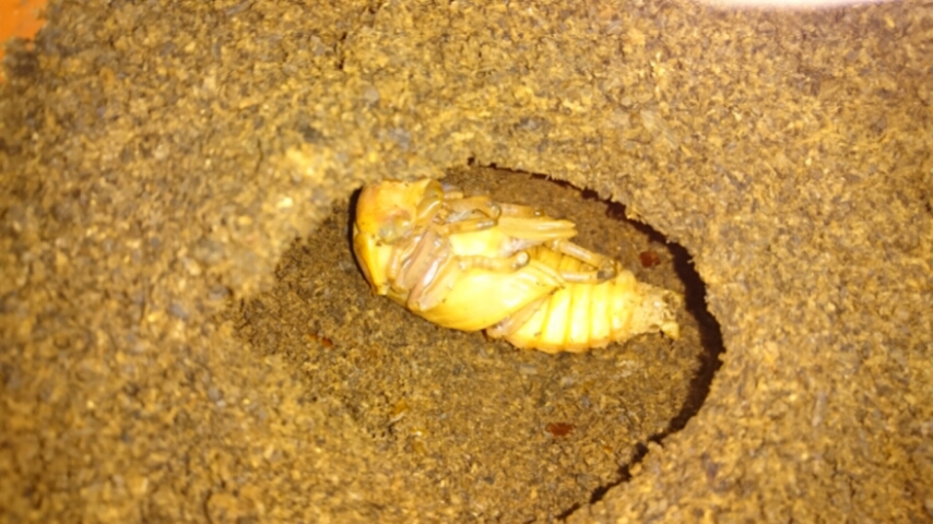 20160123_154226.jpg