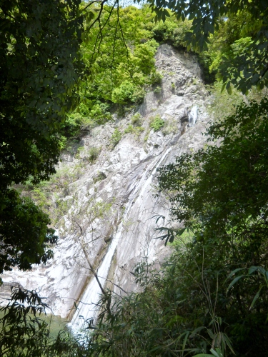 104 (375x500).jpg