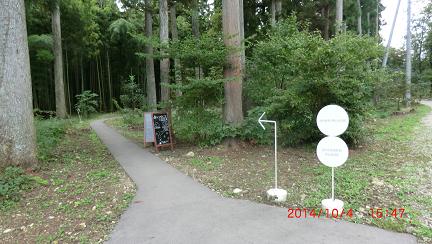 CIMG0395.JPG