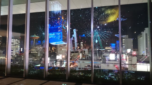 2015-08-18 19.31.38.jpg