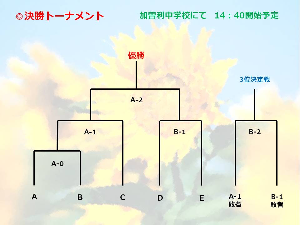 第13回桜木友好杯Final.jpg