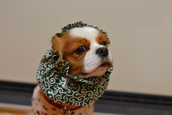 DSC_3894.jpg