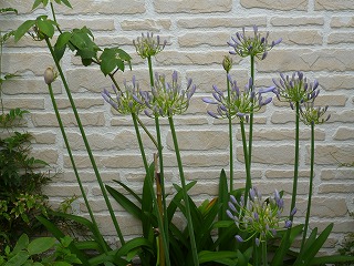 P1200820ss.jpg