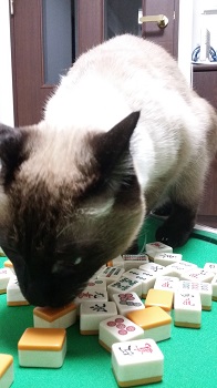 1211
