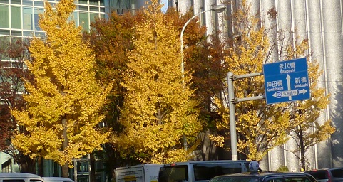 P1270478画像2.jpg