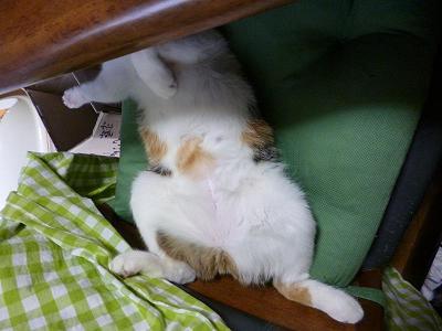 コピー ～ 画像 3116.jpg