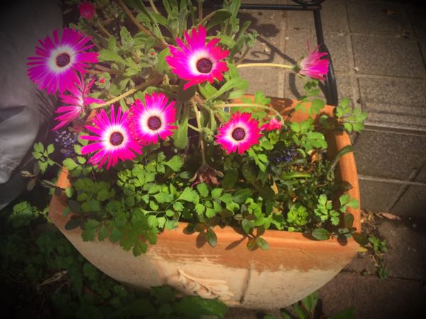 rblog-20160406142324-03.jpg