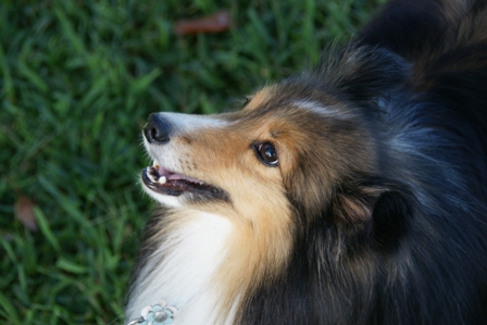 DSC00174.JPG