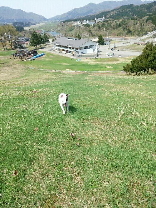 rblog-20170505215536-01.jpg