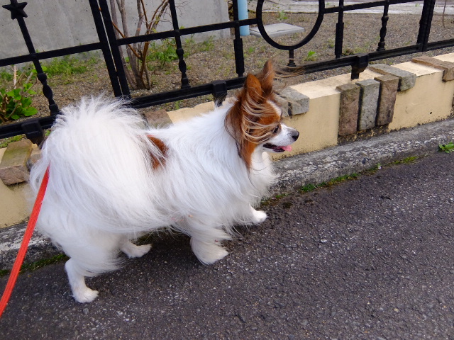 DSCF1248.JPG