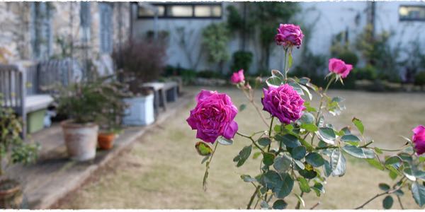 rblog-20170204221906-02.jpg