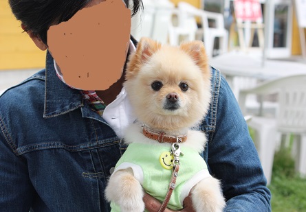 ランチヌテラ1.jpg