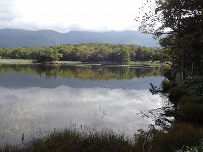 2012-10-07 10.35.25.jpg