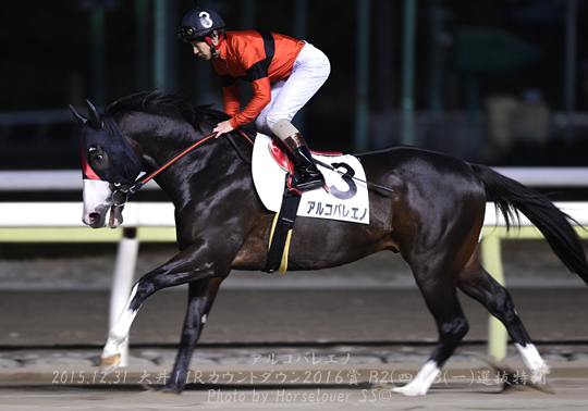 03Arcobaleno123115tck11R_06