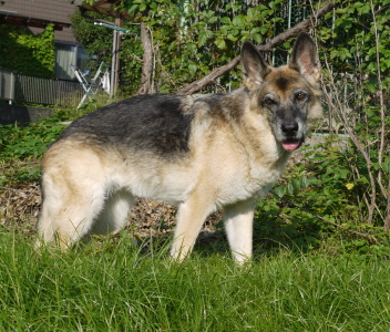 0910a2.jpg