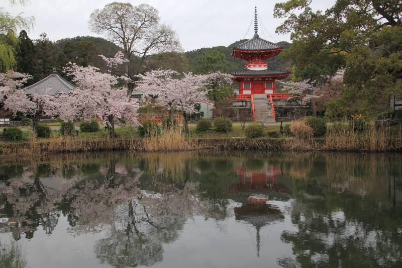 大沢池_003.jpg