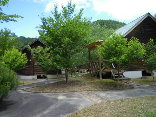 004.JPG