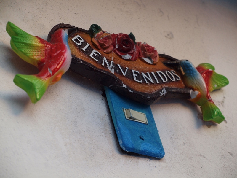 Bien venido colibri