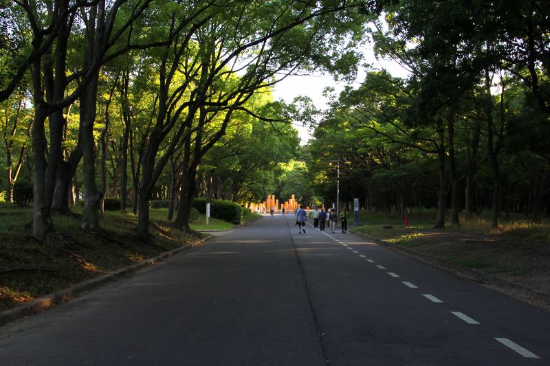 大泉緑地_3ーウオーキング.jpg
