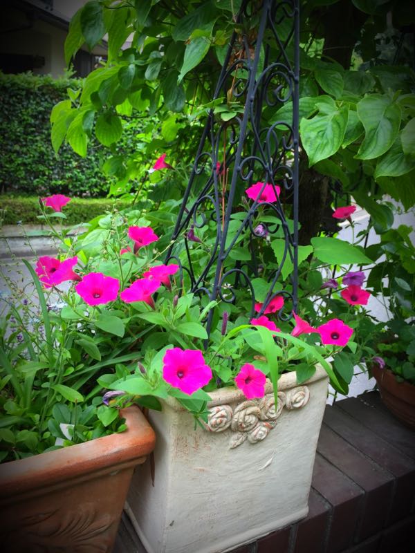 rblog-20150528194252-00.jpg