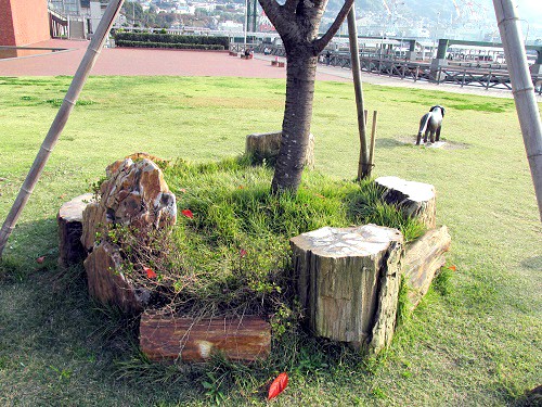 綺麗な花壇の縁石