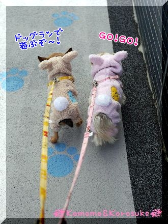GO!GO!