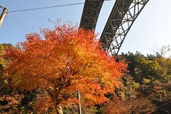 荒川キャンプ場