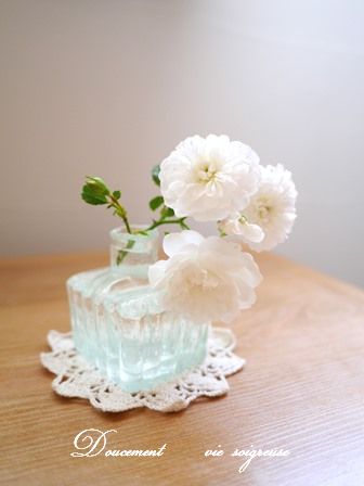 2016.6.4 スノーシャワー.JPG