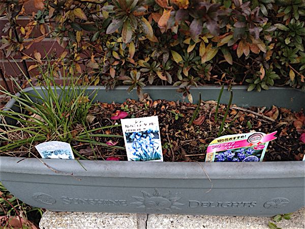 rblog-20141231141432-01.jpg