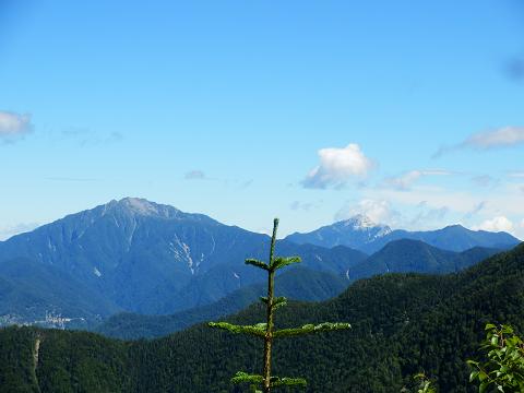 登山道から千丈ヶ岳が見える.JPG