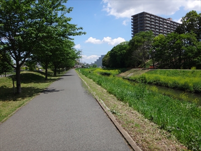 DSC00734_R.JPG