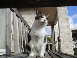 IMG_3927ss.jpg