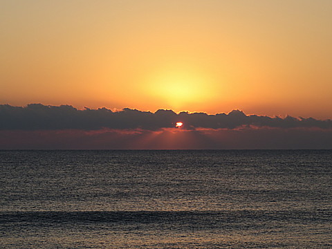 IMG_0820.jpg