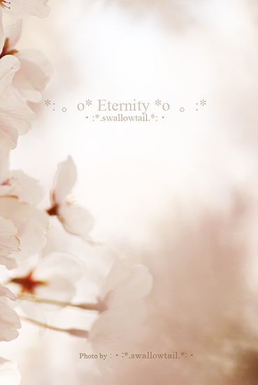 Photo by swallowtail　K.jpg