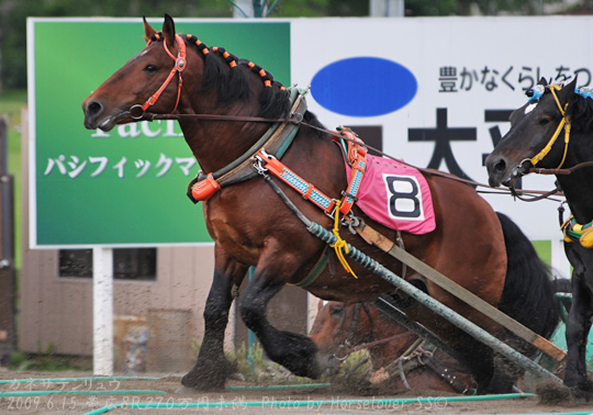 08KanesaTenryu061509Ob8R_01