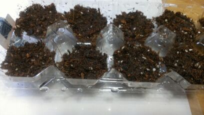 rblog-20140404140309-04.jpg