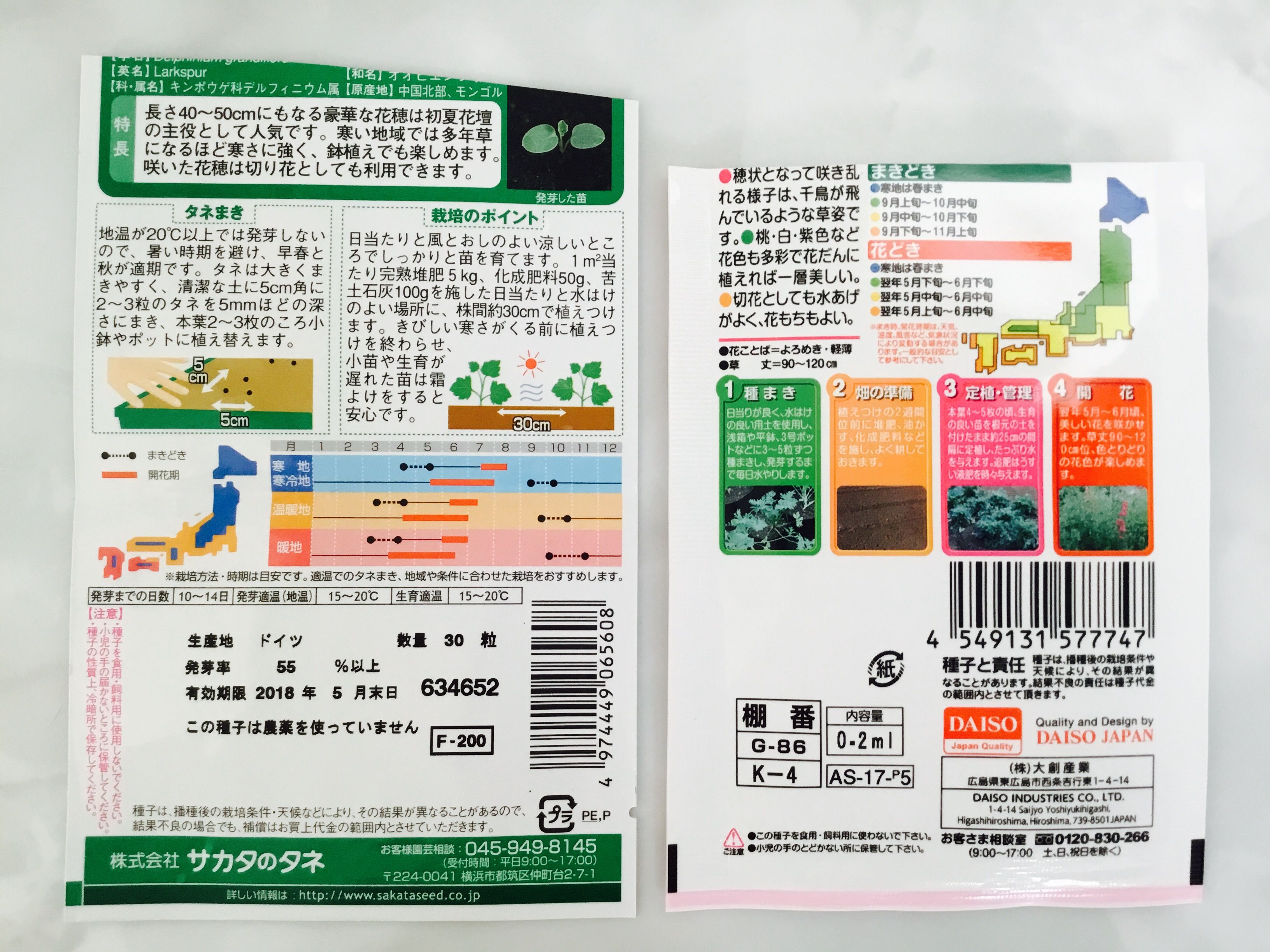 100均で千鳥草 ラークスパー の種 Chocoの庭 楽天ブログ