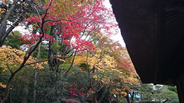 2015-11-22 09.13.48.jpg