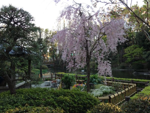 rblog-20140407221336-01.jpg