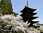 山口お宝展.jpg