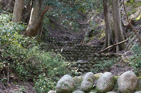 DSC05193.JPG