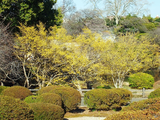 s-p1222.jpg