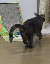 5DA_4373-17.jpg