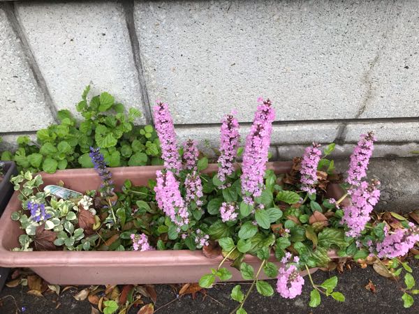 rblog-20190426181100-07.jpg